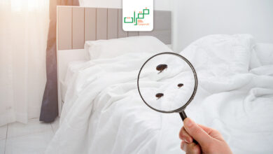افضل طرق مكافحة البراغيث