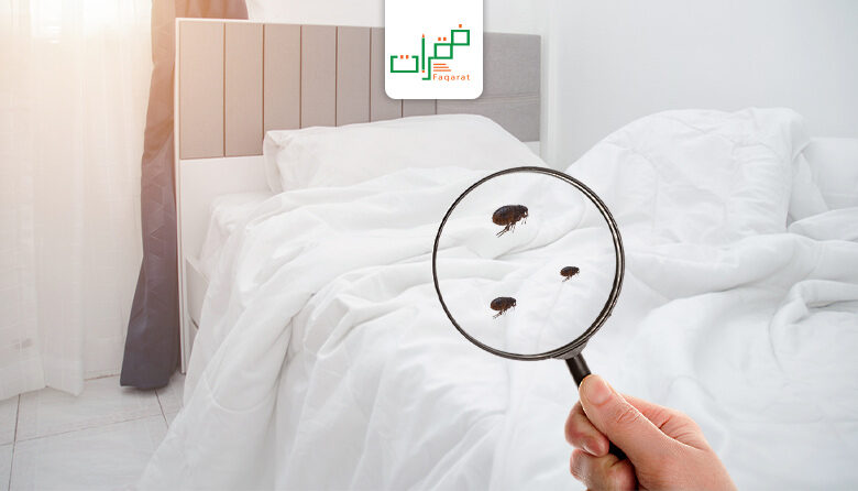 افضل طرق مكافحة البراغيث