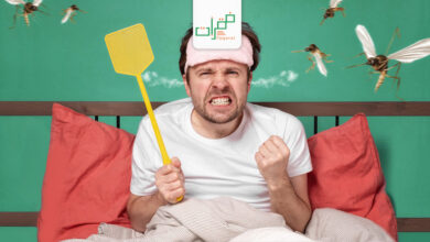 طرق مكافحة البعوض في المنزل