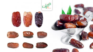 أفضل أنواع التمور