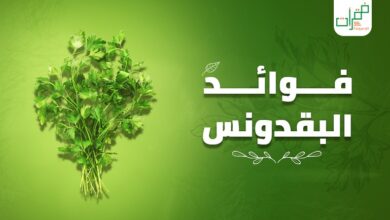 ما فوائد البقدونس
