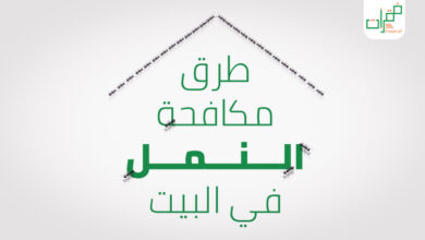 طرق مكافحة النمل في البيت