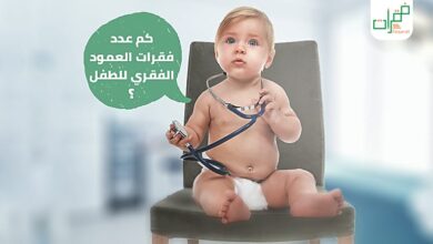 فقرات العمود الفقري للطفل