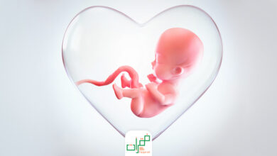 الماء حول الجنين