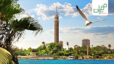 ما هي أكبر مدينة عربية